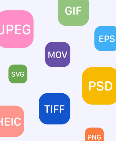 A collection of bubbles in various colours with a different file format listed inside each to show the broad file support for Pixelmator Pro